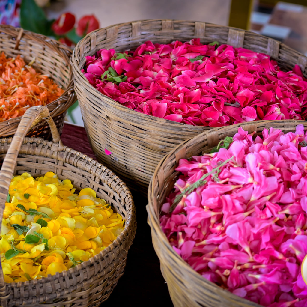 Untitled design (15)